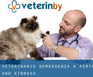 Veterinario d'Emergenza a Perth and Kinross