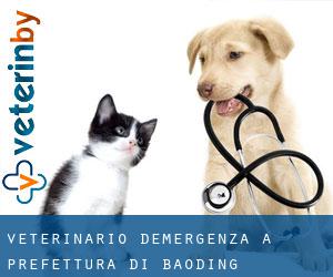 Veterinario d'Emergenza a Prefettura di Baoding