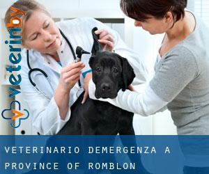 Veterinario d'Emergenza a Province of Romblon