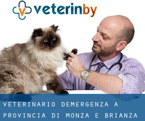 Veterinario d'Emergenza a Provincia di Monza e Brianza