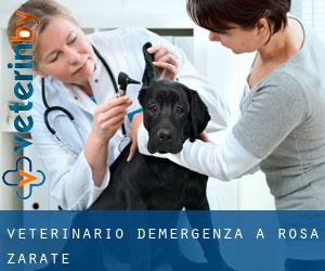 Veterinario d'Emergenza a Rosa Zárate