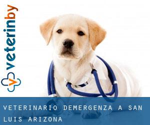 Veterinario d'Emergenza a San Luis (Arizona)