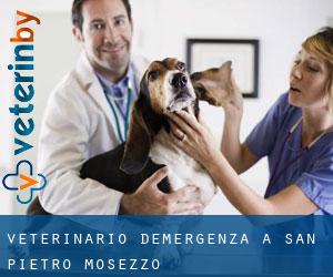 Veterinario d'Emergenza a San Pietro Mosezzo