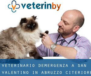 Veterinario d'Emergenza a San Valentino in Abruzzo Citeriore