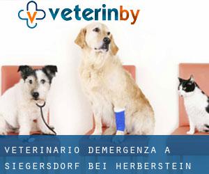 Veterinario d'Emergenza a Siegersdorf bei Herberstein