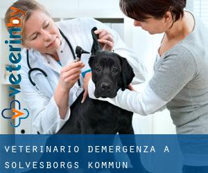 Veterinario d'Emergenza a Sölvesborgs Kommun Veterinario d'Emergenza a Sölvesborgs Kommun