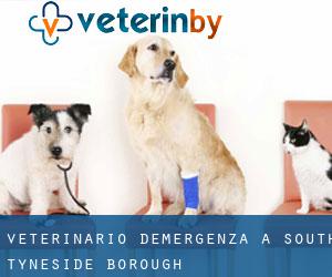 Veterinario d'Emergenza a South Tyneside (Borough)