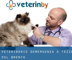 Veterinario d'Emergenza a Tezze sul Brenta