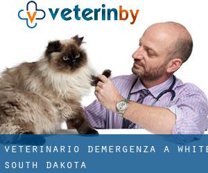 Veterinario d'Emergenza a White (South Dakota)