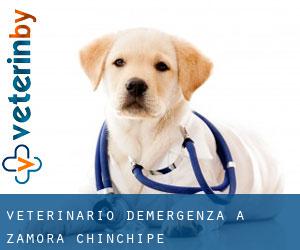Veterinario d'Emergenza a Zamora-Chinchipe Veterinario d'Emergenza a Zamora-Chinchipe