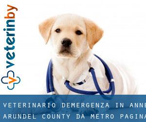 Veterinario d'Emergenza in Anne Arundel County da metro - pagina 1