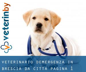 Veterinario d'Emergenza in Brescia da città - pagina 1