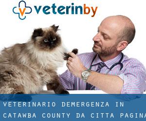 Veterinario d'Emergenza in Catawba County da città - pagina 1
