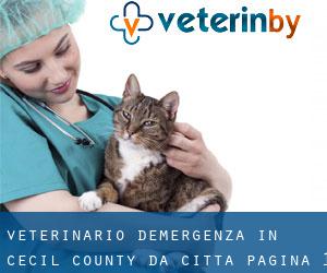 Veterinario d'Emergenza in Cecil County da città - pagina 1