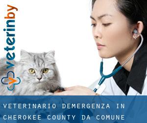 Veterinario d'Emergenza in Cherokee County da comune - pagina 1