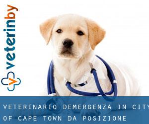 Veterinario d'Emergenza in City of Cape Town da posizione - pagina 4
