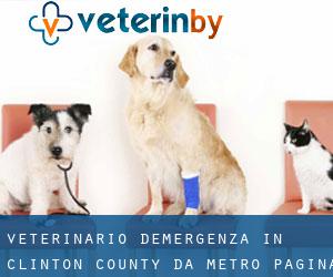 Veterinario d'Emergenza in Clinton County da metro - pagina 1