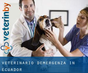 Veterinario d'Emergenza in Ecuador Veterinario d'Emergenza in Ecuador