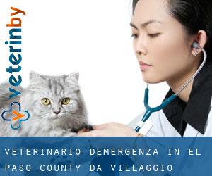Veterinario d'Emergenza in El Paso County da villaggio - pagina 1