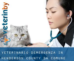 Veterinario d'Emergenza in Henderson County da comune - pagina 1