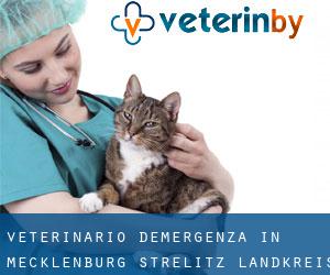 Veterinario d'Emergenza in Mecklenburg-Strelitz Landkreis da capoluogo - pagina 1