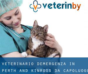 Veterinario d'Emergenza in Perth and Kinross da capoluogo - pagina 1