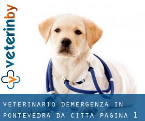 Veterinario d'Emergenza in Pontevedra da città - pagina 1
