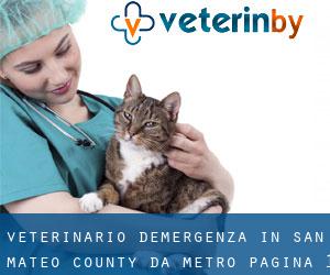 Veterinario d'Emergenza in San Mateo County da metro - pagina 1