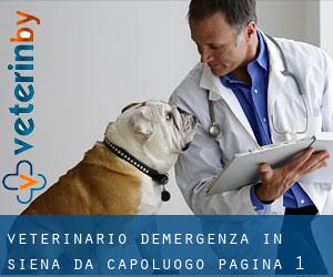 Veterinario d'Emergenza in Siena da capoluogo - pagina 1