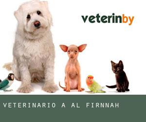 Veterinario a Al Firnānah