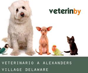 Veterinario a Alexanders Village (Delaware)