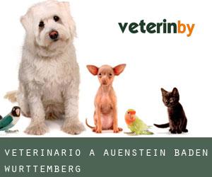Veterinario a Auenstein (Baden-Württemberg)