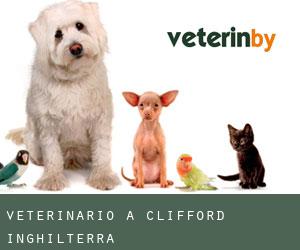 Veterinario a Clifford (Inghilterra)