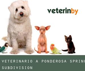 Veterinario a Ponderosa Spring Subdivision