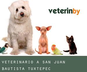 Veterinario a San Juan Bautista Tuxtepec Veterinario a San Juan Bautista Tuxtepec