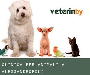 Clinica per animali a Alessandropoli