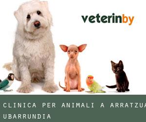 Clinica per animali a Arratzua-Ubarrundia