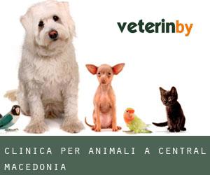 Clinica per animali a Central Macedonia Clinica per animali a Central Macedonia