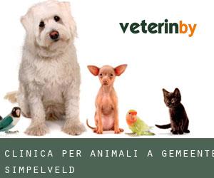 Clinica per animali a Gemeente Simpelveld