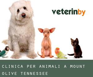 Clinica per animali a Mount Olive (Tennessee)
