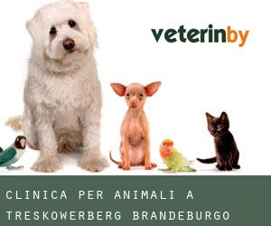 Clinica per animali a Treskowerberg (Brandeburgo)