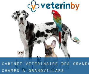 Cabinet vétérinaire des Grands Champs à Grandvillars