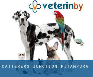 Catterers Junction (Pitampura)