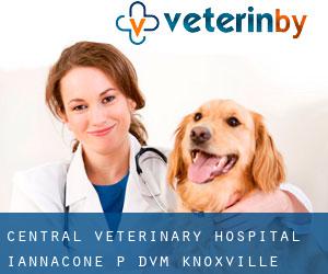 Central Veterinary Hospital: Iannacone P DVM (Knoxville)