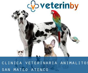 Clínica Veterinaria Animalitos (San Mateo Atenco)