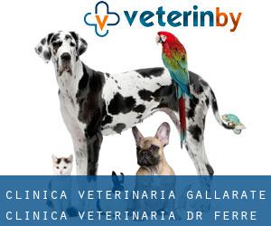 Clinica Veterinaria Gallarate Clinica Veterinaria Dr. Ferre' Paolo