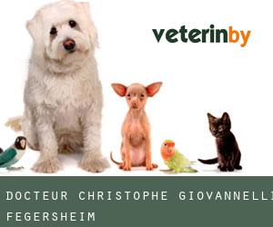 Docteur Christophe Giovannelli (Fegersheim)