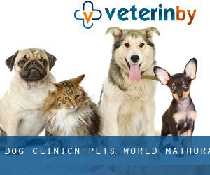Dog Clinic'N' Pet's world (Mathura)