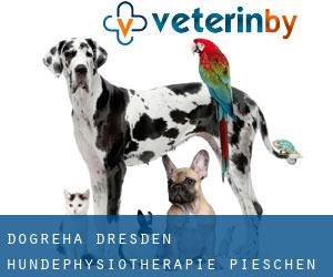 Dogreha Dresden - Hundephysiotherapie (Pieschen)