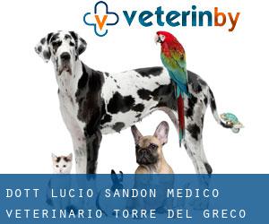 Dott. Lucio Sandon Medico Veterinario (Torre del Greco)